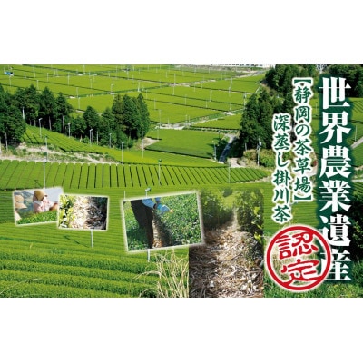全国初の快挙!日本三大品評会 農林水産大臣賞受賞 三冠茶園 深蒸し掛川茶 200g×4袋【配送不可地域：離島・沖縄県】