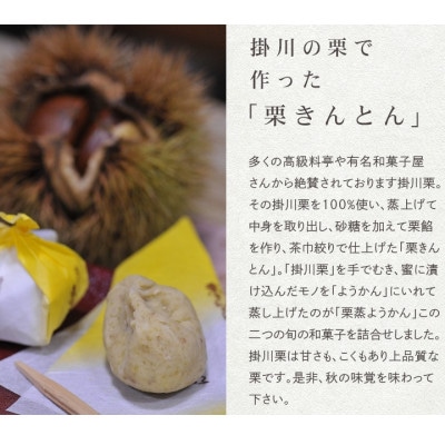 萩野屋 掛川栗の 栗きんとん×12個 栗蒸し羊羹×2本 詰め合わせ【配送不可地域：離島・北海道・沖縄県・四国・九州】