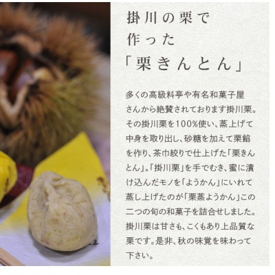 萩野屋 掛川栗の 栗きんとん×6個 栗蒸し羊羹×1本 詰め合わせ【配送不可地域：離島・北海道・沖縄県・四国・九州】