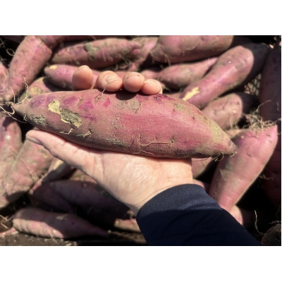 掛川産熟成 紅はるか【訳あり】9kg【配送不可地域：離島・沖縄県】