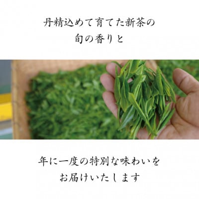 2026年度産 新茶 最上級煎茶「金扇」100g×3袋セット【配送不可地域：離島・沖縄県】