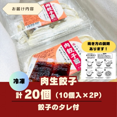 創業昭和五十三年　すすきの　冷凍【肉餃子】　25g×10個　2パック　計20個【餃子のタレ付き】【配送不可地域：離島・北海道・沖縄県・四国・九州】