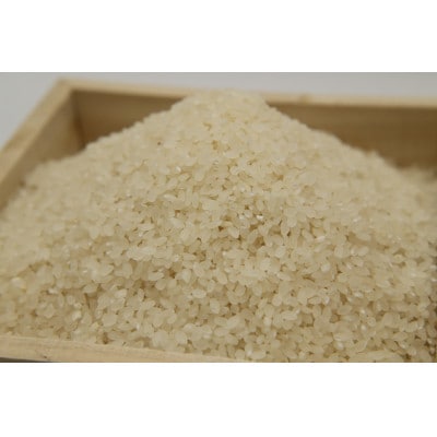 掛川産こしひかり 精米 5kg【配送不可地域：離島・沖縄県】