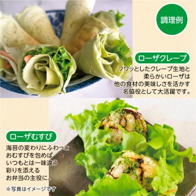 【こだわりの1種×6個セット】リーフレタス「掛川ラットューガ・ローザ」【配送不可地域：離島・北海道・沖縄県・四国・九州】