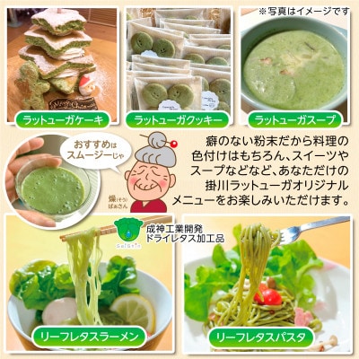 【掛川産】リーフレタスパウダー50g【配送不可地域：離島・沖縄県】