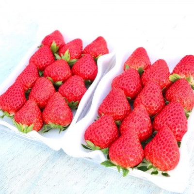 紅ほっぺ 　約280g×6パック【配送不可地域：離島・北海道・沖縄県・四国・九州】