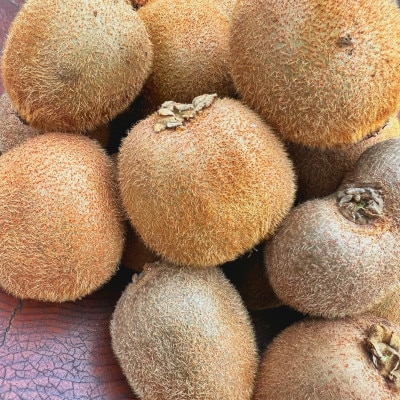 農園直送!訳アリキウイフルーツ2kg～2.4kg(24個～30個)【配送不可地域：離島・北海道・沖縄県・四国・九州】