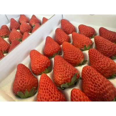 紅ほっぺ280g×4パック　おいしい完熟いちご【配送不可地域：離島・北海道・沖縄県・四国・九州】