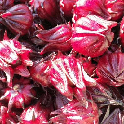 静岡県掛川市産　ハイビスカスローゼル　約400g【配送不可地域：離島・沖縄県】