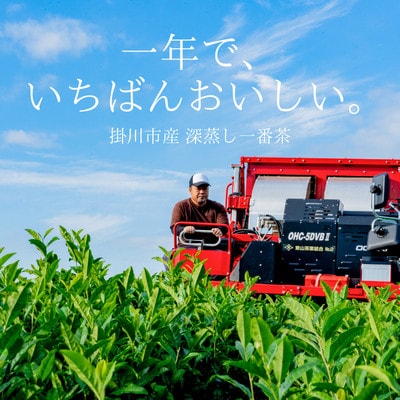 【計100包】 深蒸し一番茶使用 掛川産緑茶 ティーバッグ (3g×20包)×5袋【配送不可地域：離島・沖縄県】