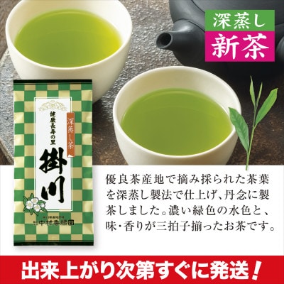 【新茶予約・令和8年度産】特上掛川茶「健康長寿の里 掛川」100g×5本セット　5月上旬頃～発送【配送不可地域：離島・沖縄県】