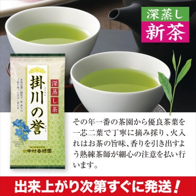 【新茶予約・令和8年度産】高級深蒸し掛川茶「掛川の誉」100g×5本セット　5月上旬頃～発送【配送不可地域：離島・沖縄県】