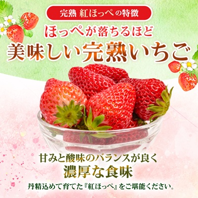 静岡県掛川市産　ミズノ農園の完熟いちご　『紅ほっぺ』約280g×4パック【配送不可地域：離島・北海道・沖縄県・四国・九州】