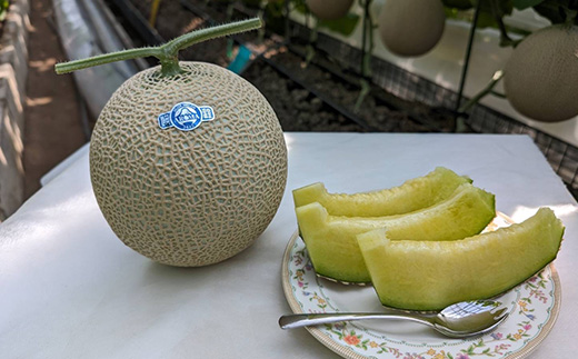 静岡暗室マスクメロン アローマ印　　　　　白級約1.45kg以上　1玉【配送不可地域：離島・北海道・沖縄県】