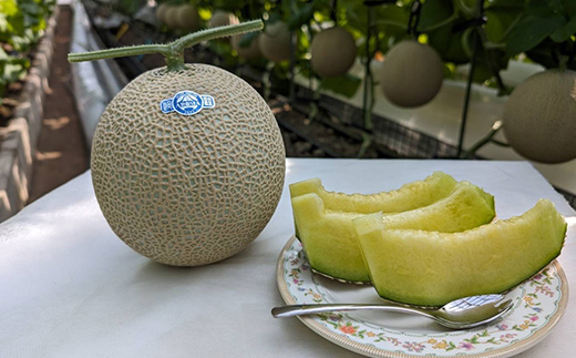 静岡暗室マスクメロン アローマ印　　　　　山級約1.45kg以上　1玉【配送不可地域：離島・北海道・沖縄県】