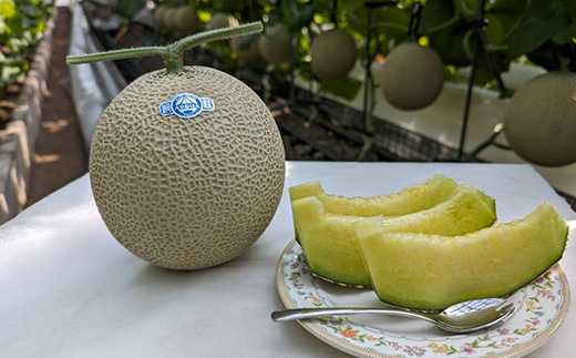 静岡暗室マスクメロン アローマ印　　　　　山級約1.45kg以上　2玉【配送不可地域：離島・北海道・沖縄県】