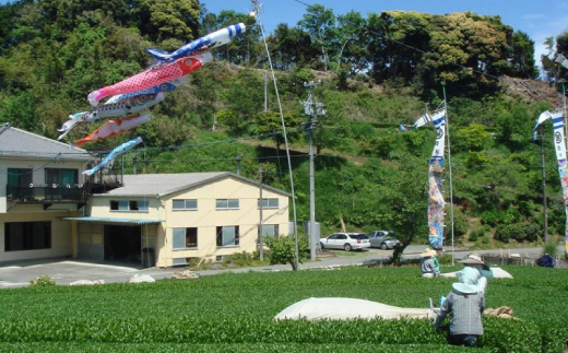 掛川の小さな茶農家直送 農業遺産茶草場実践工場 深蒸し掛川茶「うぐいす」 200g×2【配送不可地域：離島・沖縄県】
