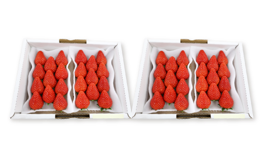 紅ほっぺセット(4パック)【配送不可地域：離島・北海道・沖縄県・四国・九州】