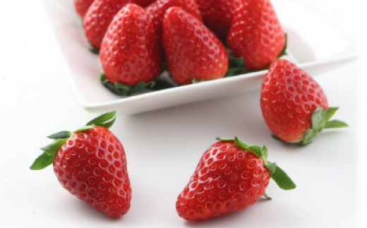 紅ほっぺ・きらぴ香食べ比べセット(各2パック　計4パック)【配送不可地域：離島・北海道・沖縄県・四国・九州】