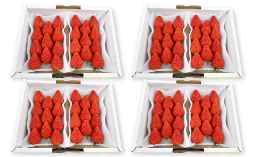 紅ほっぺセット(8パック)【配送不可地域：離島・北海道・沖縄県・四国・九州】