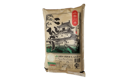 掛川産こしひかり 精米 5kg【配送不可地域：離島・沖縄県】