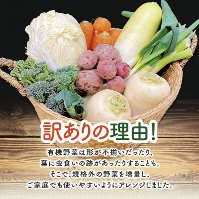 【毎月定期便】しあわせ野菜畑のシェフMセット　(訳あり規格外の有機野菜を一部使用)全3回【配送不可地域：離島・北海道・沖縄県・四国・九州】