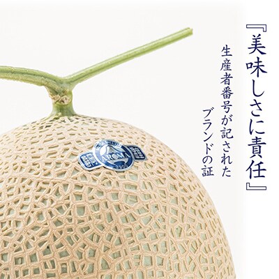 【毎月定期便】アローマメロン(小玉) 2玉 全12回【配送不可地域：離島・北海道・沖縄県】