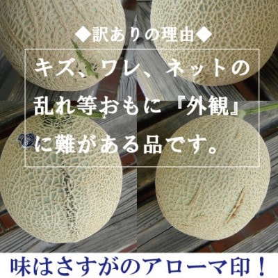 【毎月定期便】【訳あり】アローマメロン 1玉　全7回【配送不可地域：離島・北海道・沖縄県】