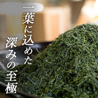 深蒸し掛川茶「かけがわ育ちW」100g×4袋セット【配送不可地域：離島・沖縄県】