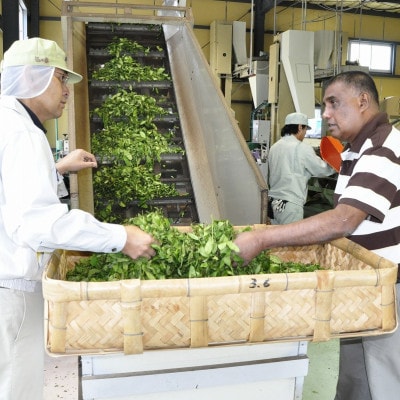 アナンダ・フェルナンド氏 直伝!掛川紅茶ティーバッグ7袋セット【配送不可地域：離島・沖縄県】