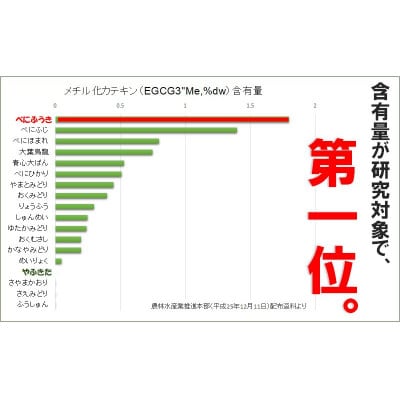 べにふうき緑茶(メチル化カテキン)ティーバッグ5g・10個入り×5袋 静岡県掛川産の深蒸し製法掛川茶【配送不可地域：離島・沖縄県】