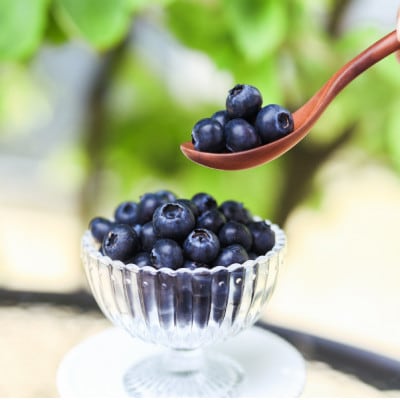 2026年発送【ハウス栽培】季節限定の国産『生ブルーベリー』太陽の恵みを沢山浴び新鮮で大粒。【配送不可地域：離島・北海道・沖縄県・四国・九州】