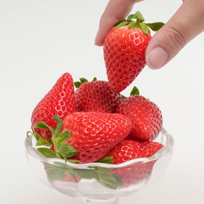 静岡県掛川市産　ミズノ農園の完熟いちご「すずの薫り」　約280g×4パック【配送不可地域：離島・北海道・沖縄県・東北・中国・四国・九州】