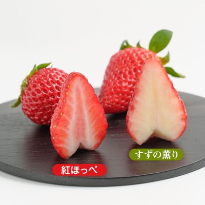 静岡県掛川市産　ミズノ農園の完熟いちご「紅ほっぺ」「すずの薫り」2種各2パック食べ比べセット【配送不可地域：離島・北海道・沖縄県・東北・中国・四国・九州】