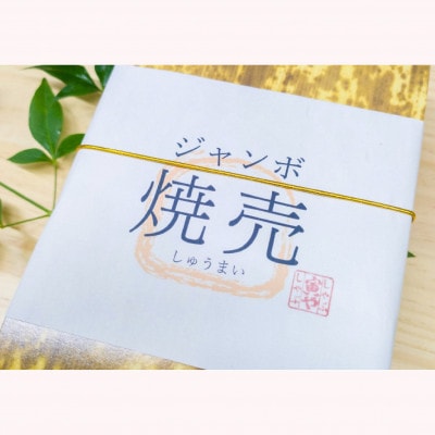 ふっくらジューシー♪ジャンボシュウマイ　12個(6個入×2パック)【配送不可地域：離島・北海道・沖縄県・東北・中国・四国・九州】