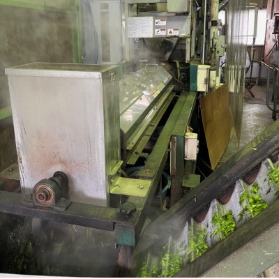 【産地直送】お茶農家が普段使いで飲むお茶　1番茶100%深蒸し掛川茶100g×11袋　合計1.1kg【配送不可地域：離島・沖縄県】