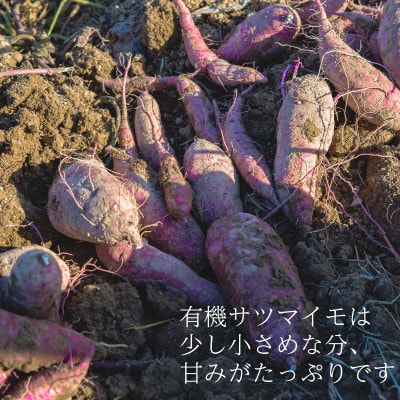 有機サツマイモ　有機JAS認証　オーガニック　期間限定(12、1、2月)【配送不可地域：離島・北海道・沖縄県】