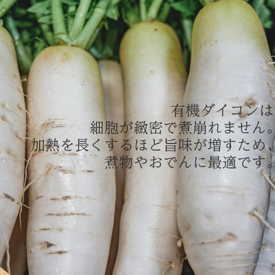 有機大根　有機JAS認証　煮物やおでんに最適　冬の味覚(12～3月発送)【配送不可地域：離島・北海道・沖縄県】