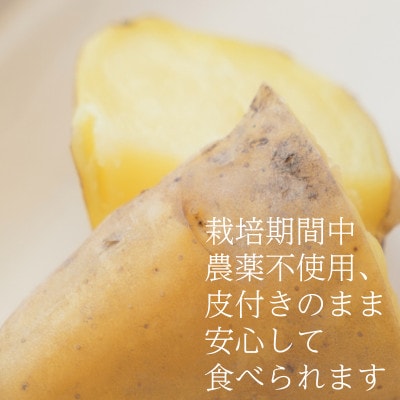 【フードロス対応・規格外】有機ジャガイモ 3kg　訳あり    季節限定(12～3月発送)【配送不可地域：離島・北海道・沖縄県】