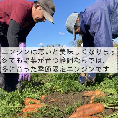 【フードロス対応・規格外】有機ニンジン  訳あり   冬季限定(12～3月発送)【配送不可地域：離島・北海道・沖縄県】
