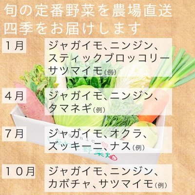 有機野菜でカレーを作ろう　カレーに使える有機野菜を3～4種類　定番野菜だからなんにでも使えます。【配送不可地域：離島・北海道・沖縄県・四国・九州】