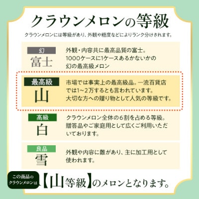マスクメロンの最高峰 クラウンメロン 山等級  1.2kg前後×1玉【配送不可地域：離島・北海道・沖縄県】