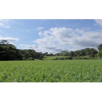 静岡よみうりカントリークラブ ゴルフ・プレー補助券　3,000ポイント分【配送不可地域：離島・沖縄県】