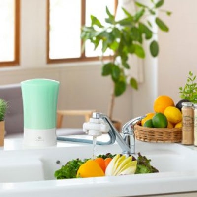 ゼンケン ビクラ浄水器2  グリーン/MFH-V92-G【配送不可地域：離島・沖縄県】