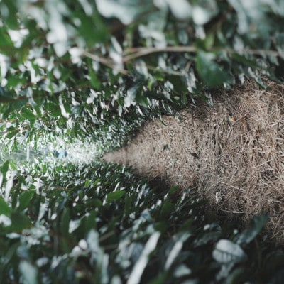 世界農業遺産に認められた茶葉を味わう最高級ボトリングティー | Apoptosis N【配送不可地域：離島・北海道・沖縄県・四国・九州】