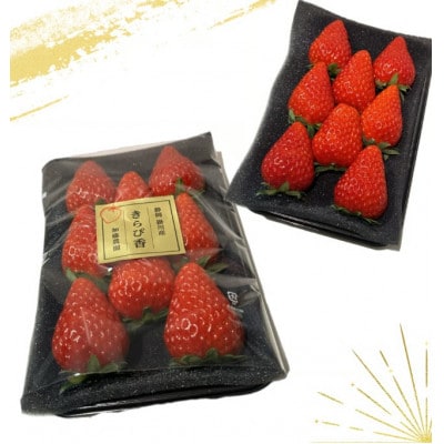 【先行受付】いちご【きらぴ香】1箱 (1箱4パック入り 約250g×4)【配送不可地域：離島・北海道・沖縄県・四国・九州】