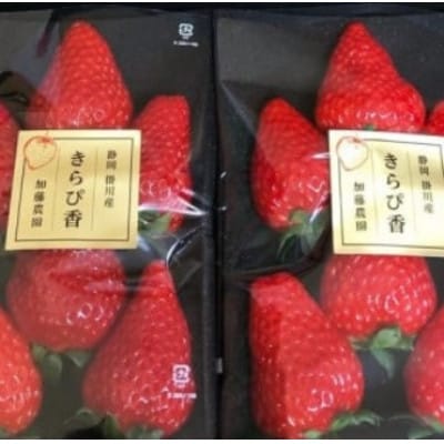 【先行受付】いちご【きらぴ香】1箱 (1箱2パック入り 約250g×2)【配送不可地域：離島・北海道・沖縄県・四国・九州】