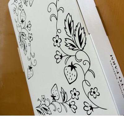 【先行受付】いちご【きらぴ香】1箱 (1箱2パック入り 約450g×2)【配送不可地域：離島・北海道・沖縄県・四国・九州】