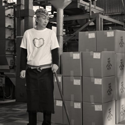 ふだん飲み　深蒸し掛川茶「草印」200g×3本セット【配送不可地域：離島・沖縄県】