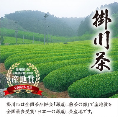 【掛川茶】高級深蒸し煎茶「掛川の匠」100g×3本セット　お茶の葛野【配送不可地域：離島・沖縄県】